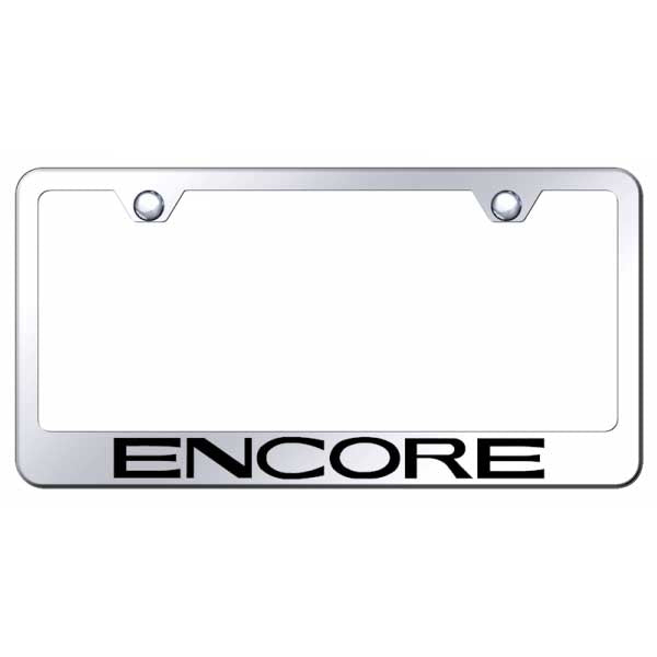 Light Gray Encore Stainless Steel Frame - Laser Etched Mirrored