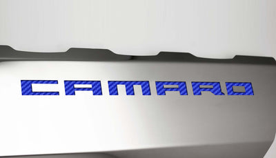 Light Gray 2016-2021 Camaro SS - Fuel Rail Covers w/SS Style Top Plates - Stainless Steel