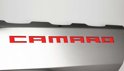 Light Gray 2016-2021 Camaro SS - Fuel Rail Covers w/SS Style Top Plates - Stainless Steel