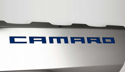 Light Gray 2016-2021 Camaro SS - Fuel Rail Covers w/SS Style Top Plates - Stainless Steel