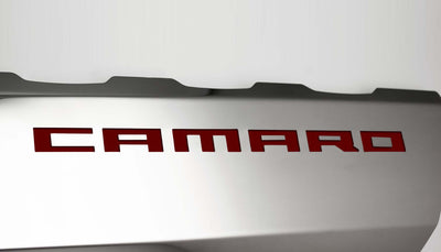 Light Gray 2016-2021 Camaro SS - Fuel Rail Covers w/SS Style Top Plates - Stainless Steel