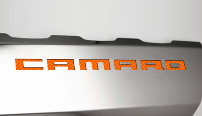 Light Gray 2016-2021 Camaro SS - Fuel Rail Covers w/SS Style Top Plates - Stainless Steel