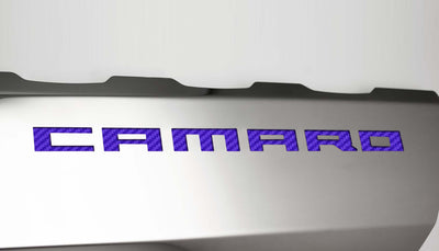 Light Gray 2016-2021 Camaro SS - Fuel Rail Covers w/SS Style Top Plates - Stainless Steel