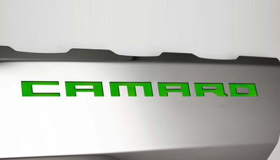 Light Gray 2016-2021 Camaro SS - Fuel Rail Covers w/SS Style Top Plates - Stainless Steel