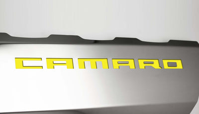 Light Gray 2016-2021 Camaro SS - Fuel Rail Covers w/SS Style Top Plates - Stainless Steel