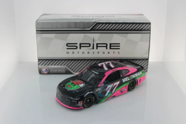Ross Chastain 2020 Melon Man Brand 1:24 Diecast